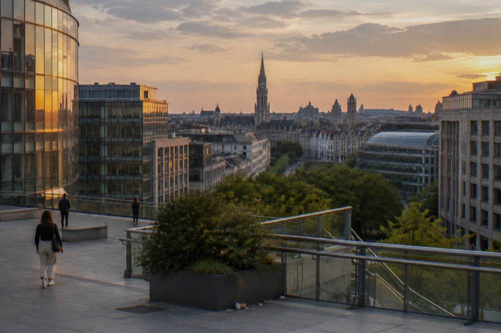 Evening light over the rooftops and towers of central Brussels