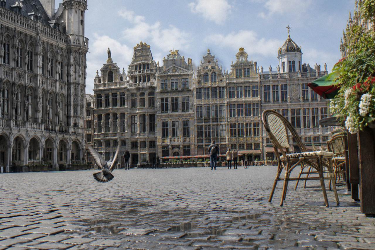 Cobblestone square in Brussels with ornate guild houses under a daytime sky