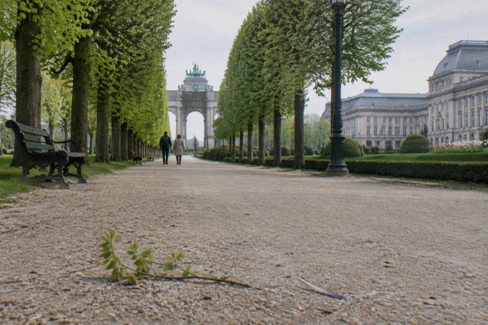 A park in Brussels with wide gravel paths and tall trees in daylight