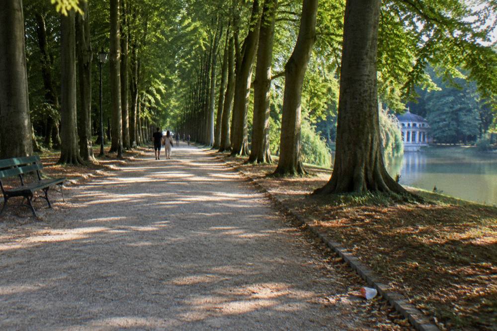 A tree-lined avenue in a Brussels park with benches along a gravel path