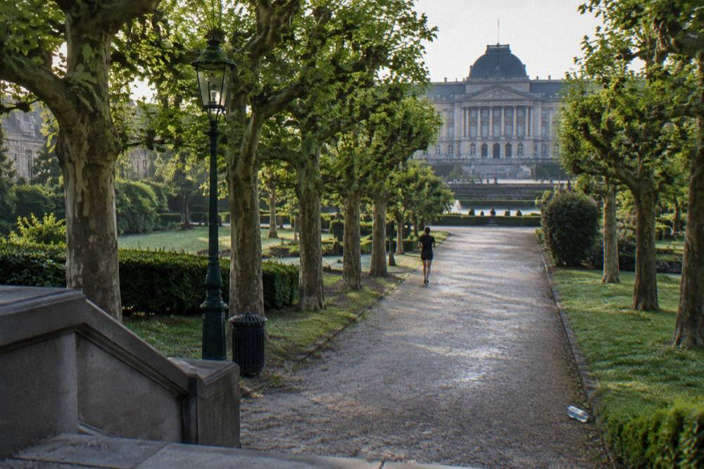 Tree-lined gravel paths of Brussels Park with the palace facade visible beyond the trees