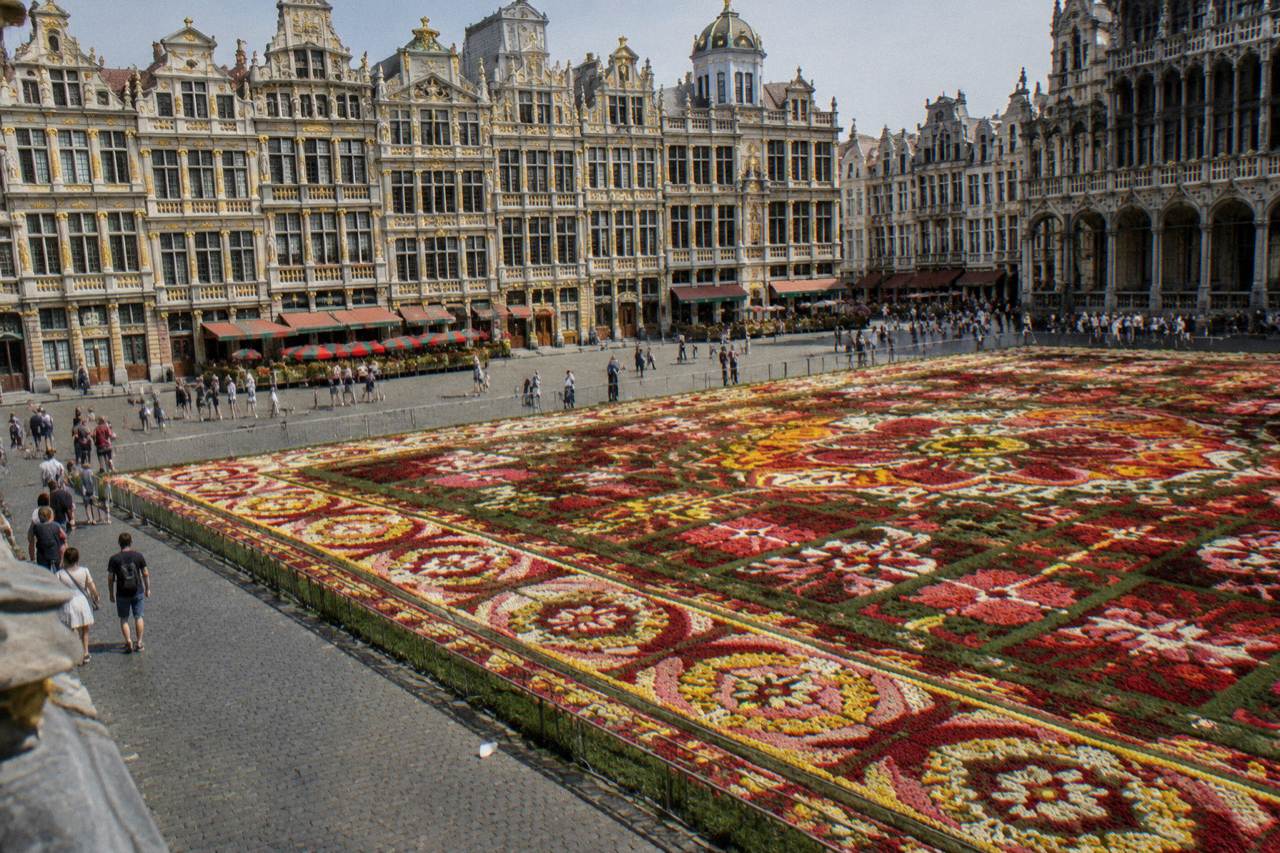 Flower carpet pattern of begonias laid across the Grand-Place square in Brussels with guild houses behind
