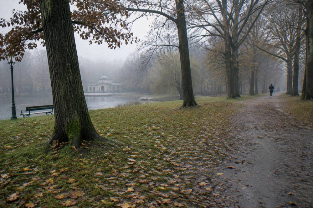 Open grass clearing with scattered trees and a footpath in a park