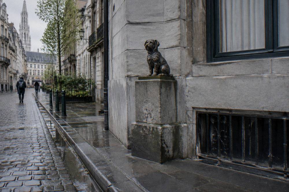 A small dog statue on a stone plinth at a street corner in Brussels
