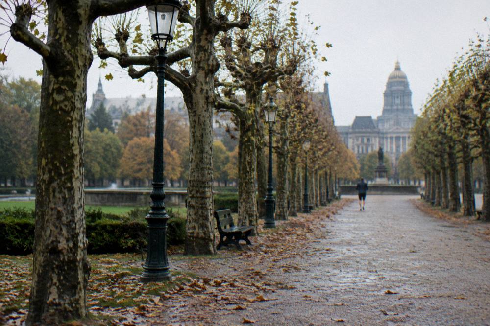Tree-lined park avenue with a formal layout and lampposts beside a wide gravel path